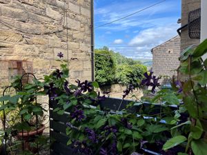 Garden- click for photo gallery